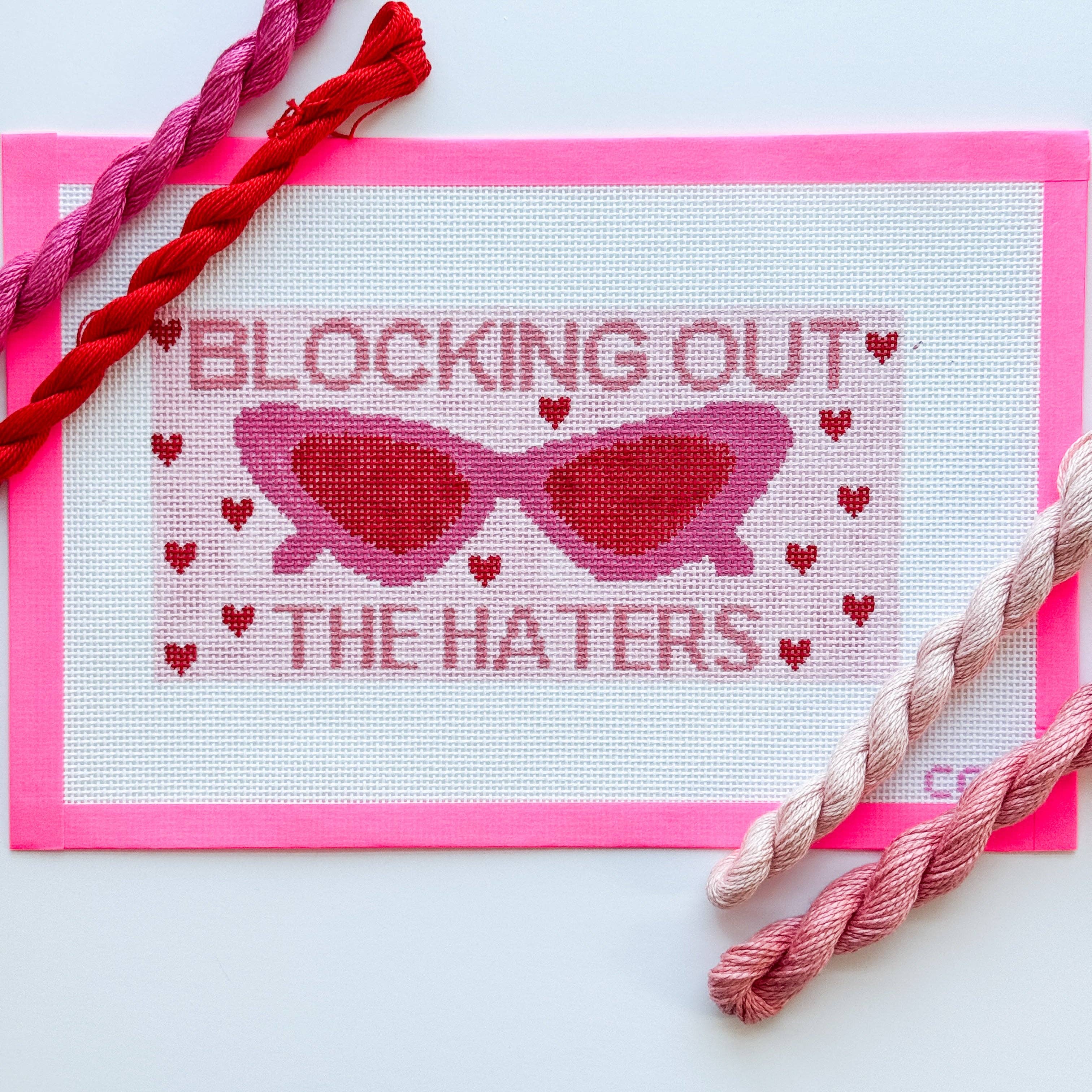 Blocking Out the Haters Sunglasses Case Needlepoint Canvas 9x4.4” 13 mesh Hand Painted